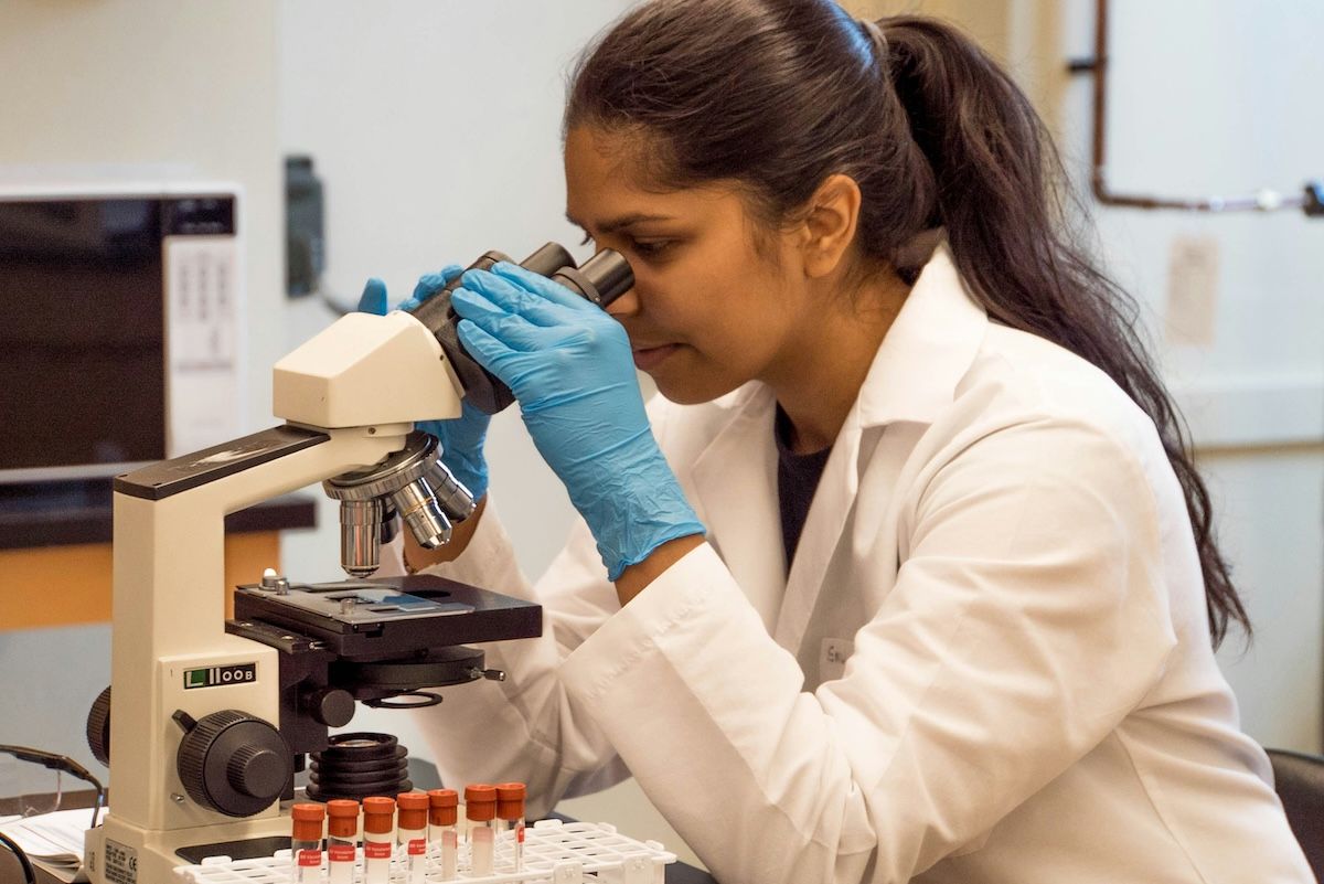 World Online Ranking of Best Genetics Scientists - 2026 Report thumbnail